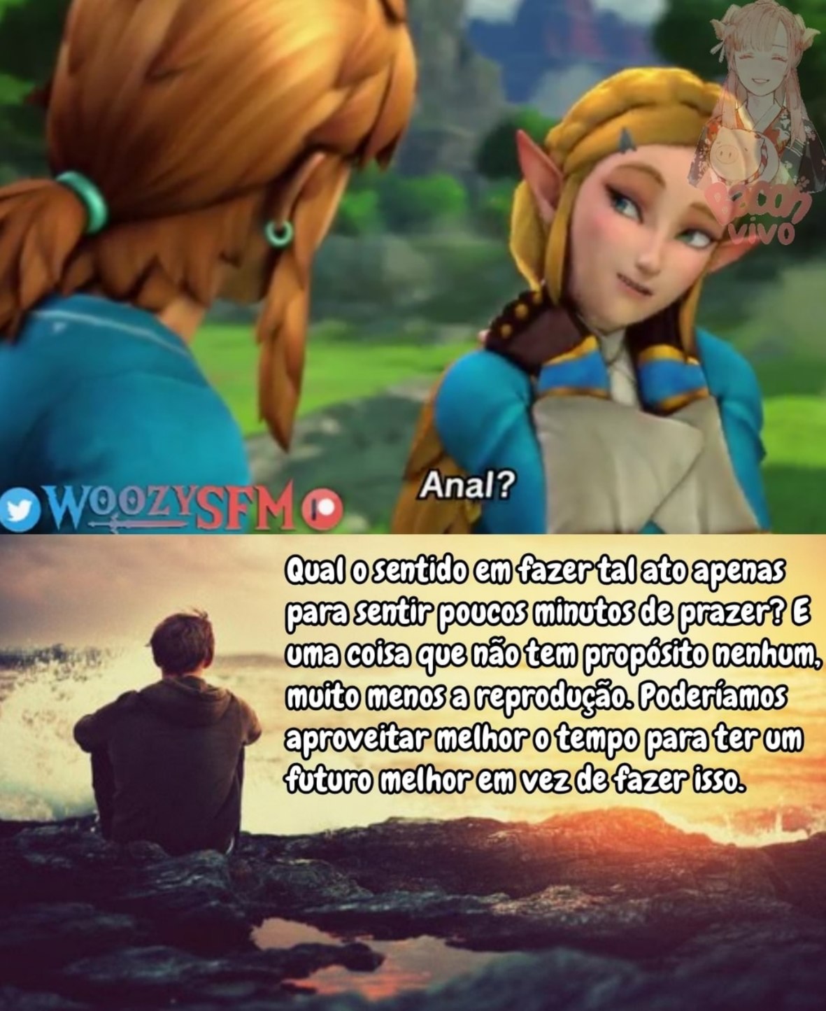 Nascimento Idade Altura Peso Comida favorita Comida favorita Link ÃO Q  Princesa Zelda Princesa Zelda - iFunny Brazil