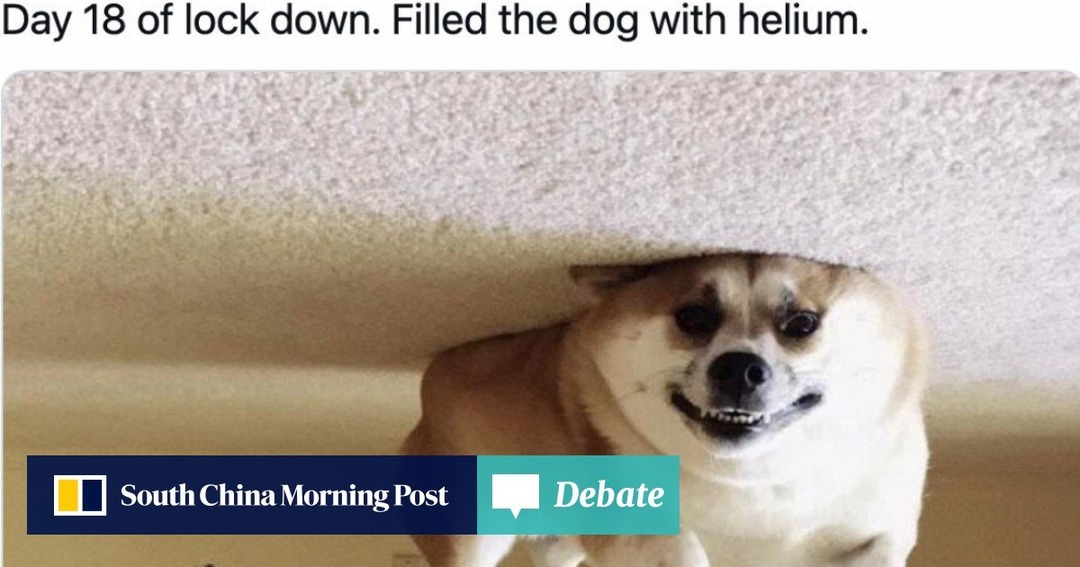 Helium+Doggo - meme