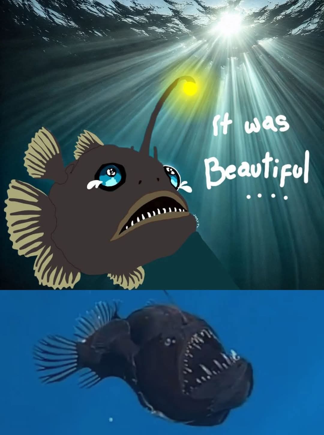 This fish is the new Harambe btw. Name it. - meme