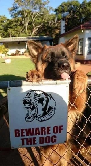 Beware of….that? - meme