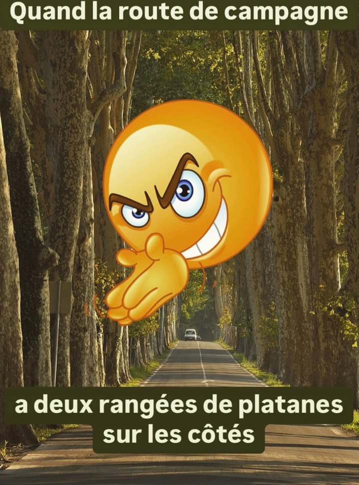 quand la route de campagne a l'air d'une cinématique de fin de film - meme