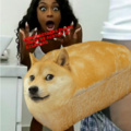 Vi una película porno y me entró la idea de hacer este meme , censure el pene mediante un pan dogeficado