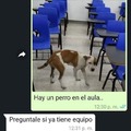 Meme de un perro en el aula