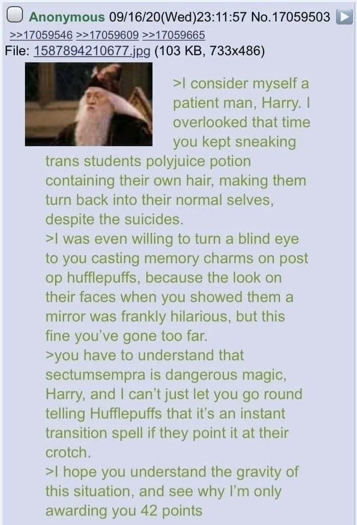 Based Potter - meme