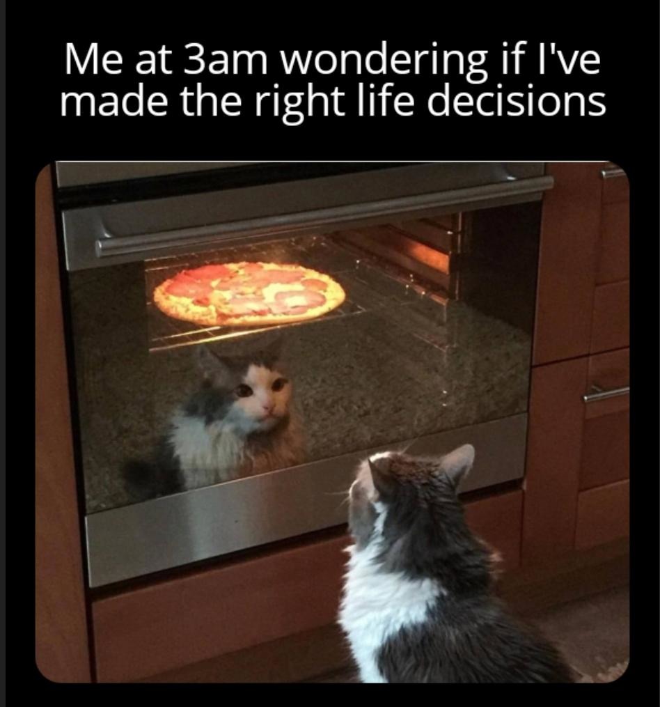 While making a pizza - meme