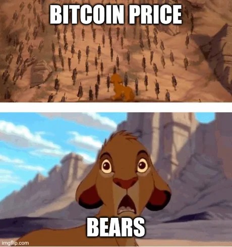 Bitcoin price meme