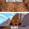 Bitcoin price meme