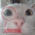commented item thumbnail