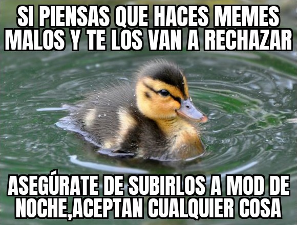 consejo de un pato - meme