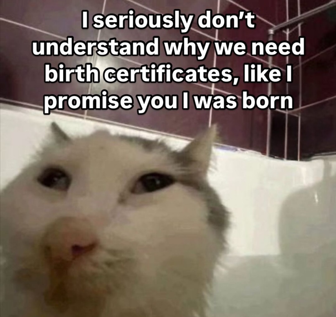 Birth cert - meme