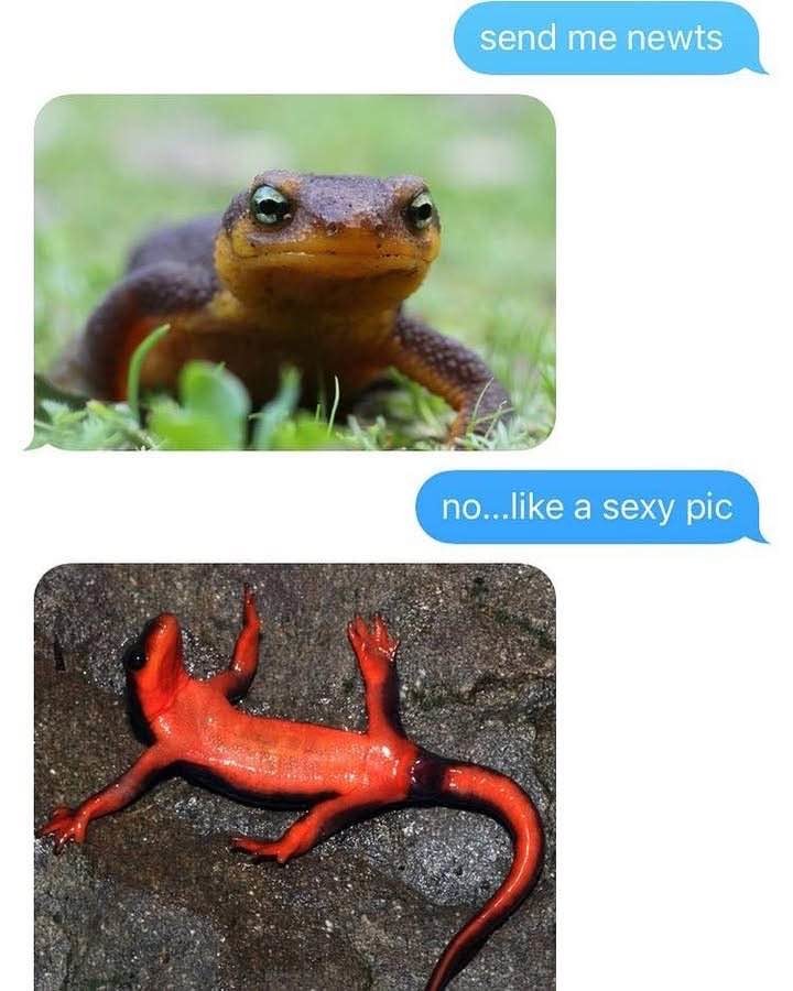 Lizard Brain - meme