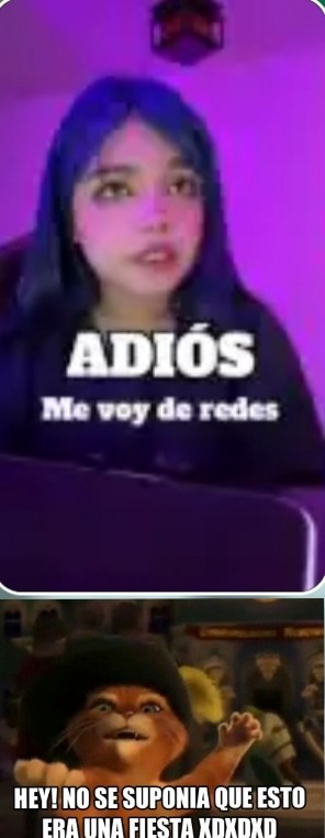 no se suponía que esto era una fiesta? - meme