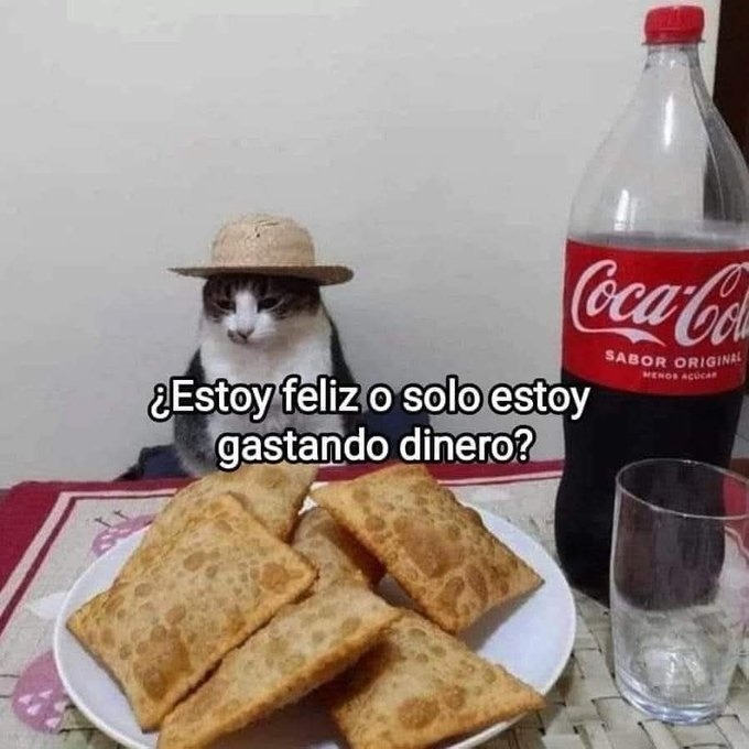 estoy feliz o solo estoy tirando dinero como si fuera confeti - meme