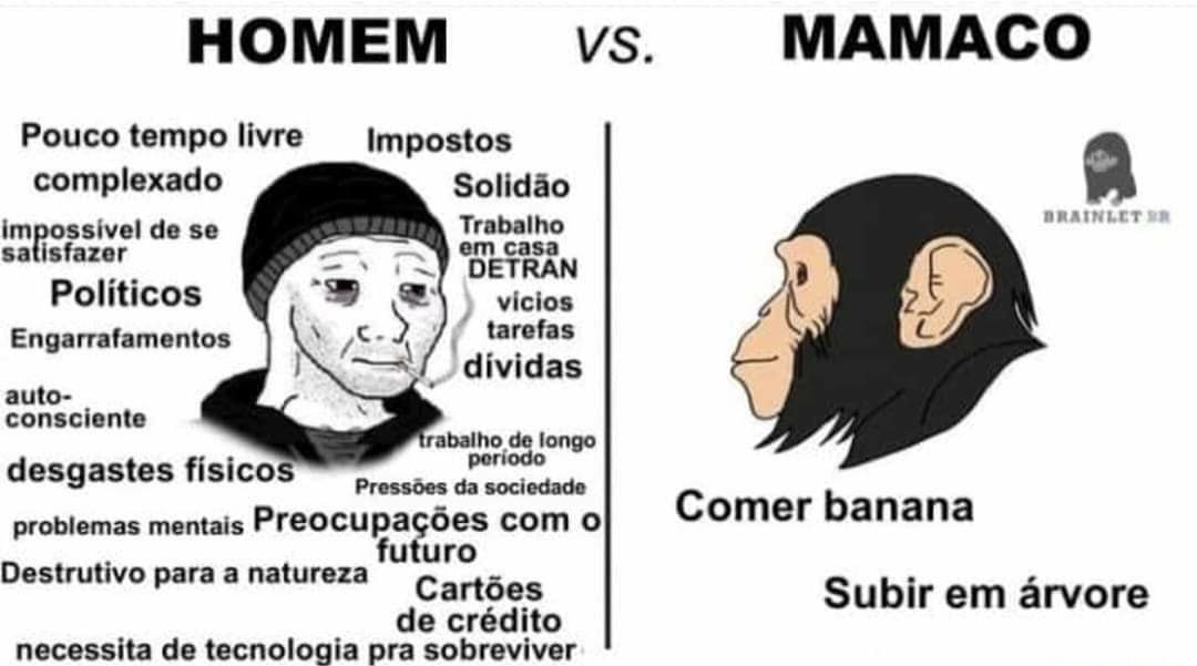 Homen X macaco - meme
