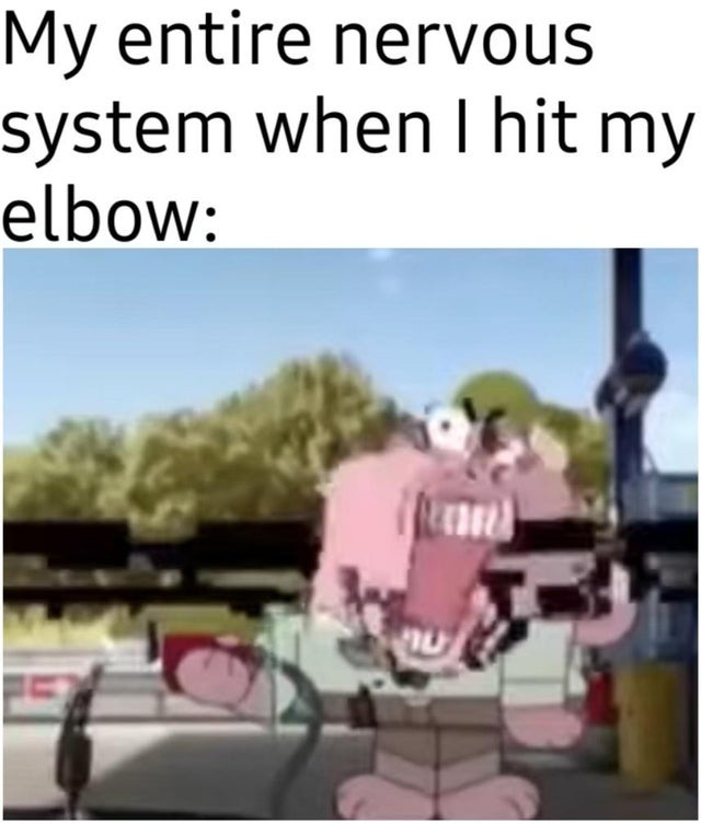 when you hit your elbow - meme