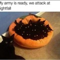 Attack my minions!