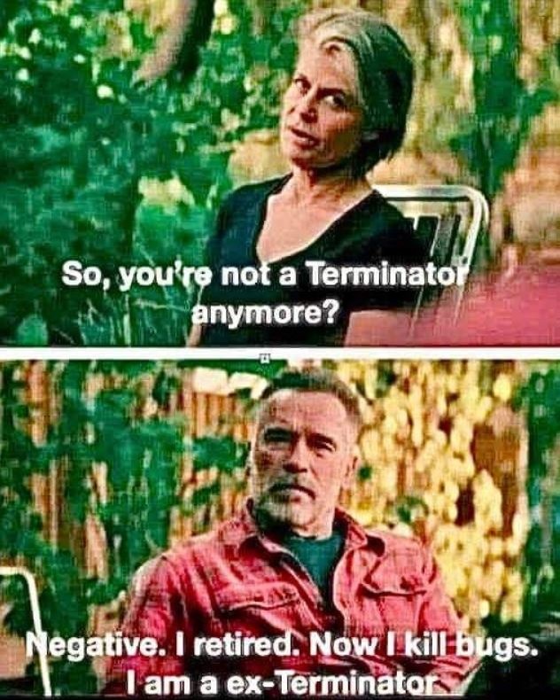Not a Terminator - meme