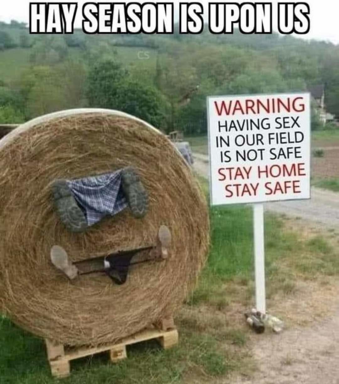Haaaay now that's funny  - meme