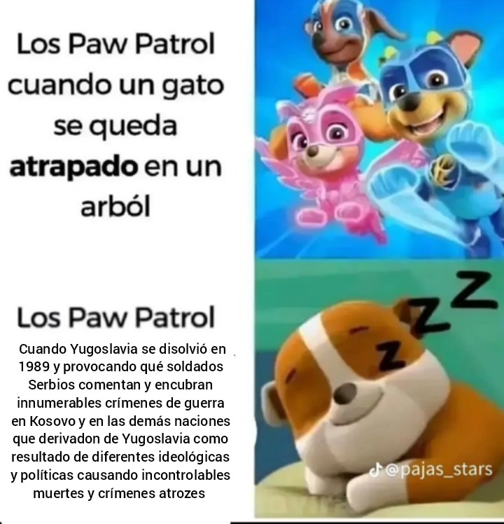 Los paw patrols cuando: - meme