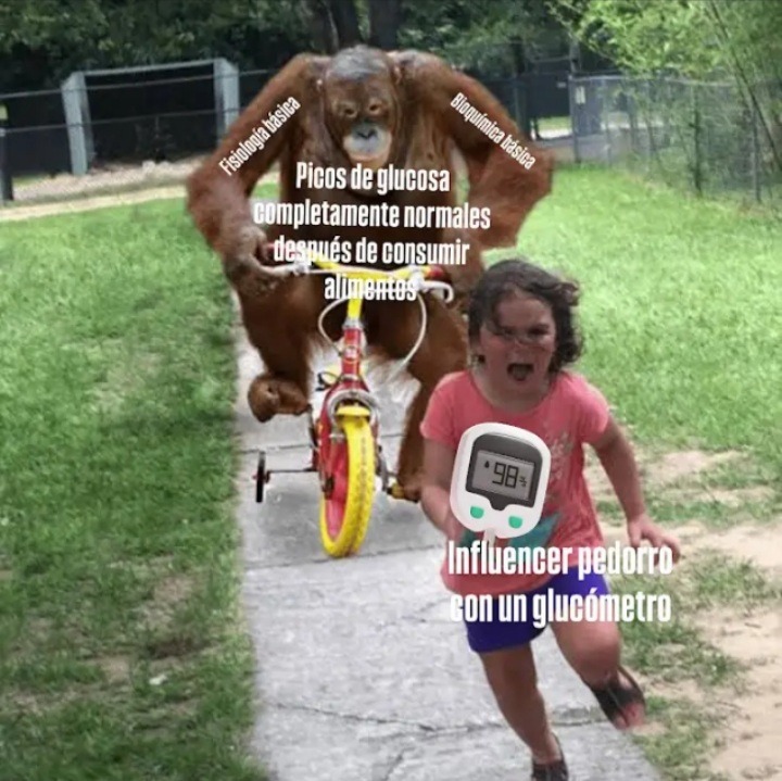 Jaja, eso del índice glucemico de hecho es un disparate, eso casi nunca sirve realmente y solo se usa en casos muy específicos como con la diabetes... Si buscan un verdadero experto consulten a ARIES TERRÓN. - meme