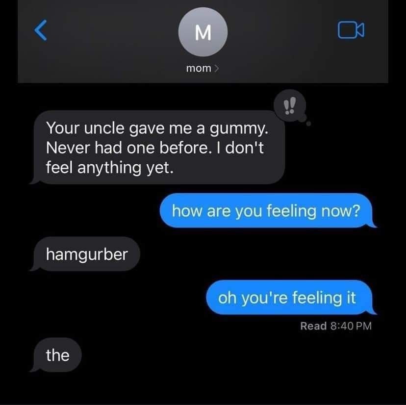 Mom had one gummy and turned into a hamgurber - meme