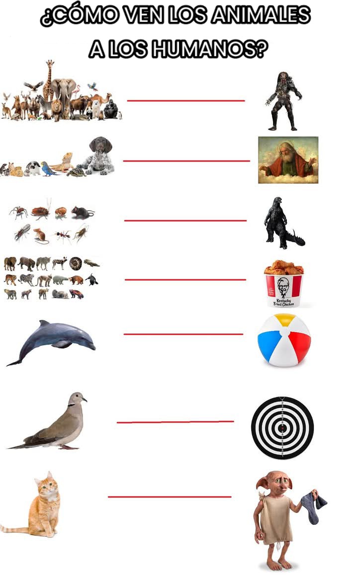 Título. - meme