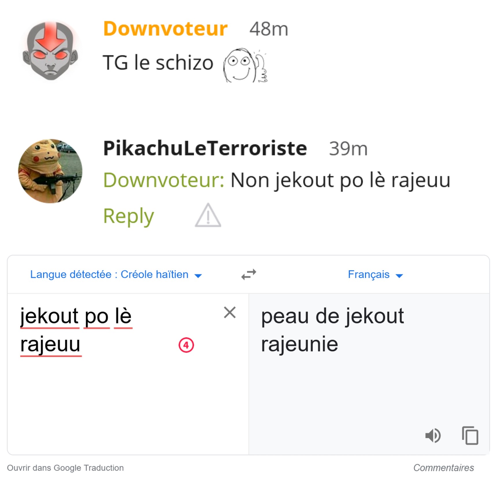 Pikachu est donc haïtien, merci Google Trad - meme