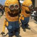 Quentin Tarantino has some ideas for the Minions in the next installment of "Despicable Me".