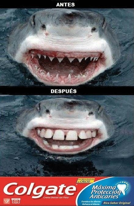 Tiburón de lava lo dientes :D - meme