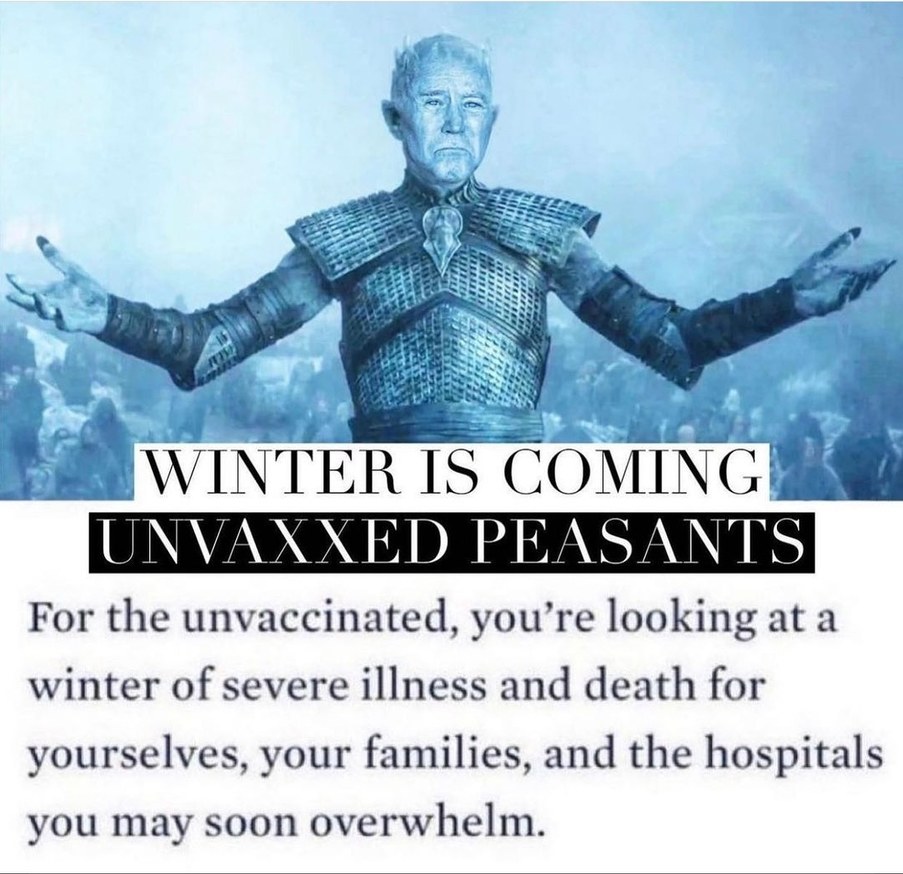 Winter is coming - meme