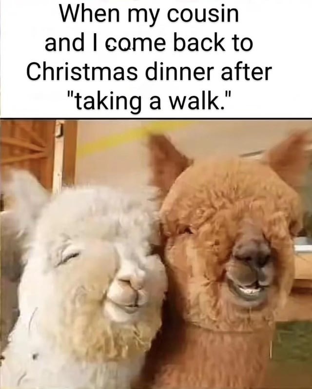 Christmas dinner meme