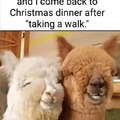 Christmas dinner meme