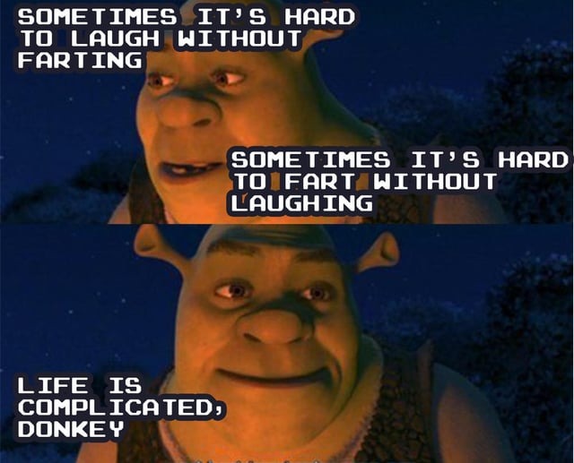 Life is complicated Donkey - meme
