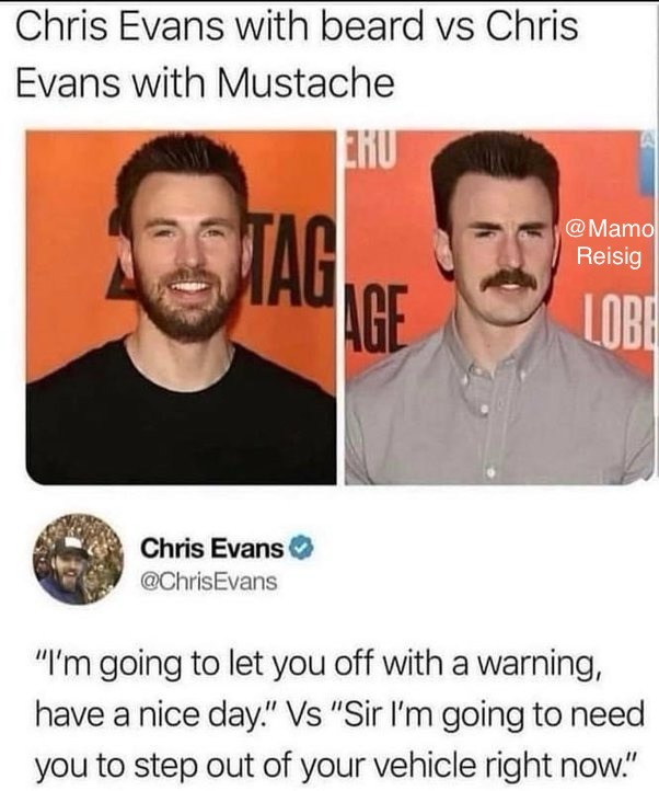 Beard Vs Mustache - meme