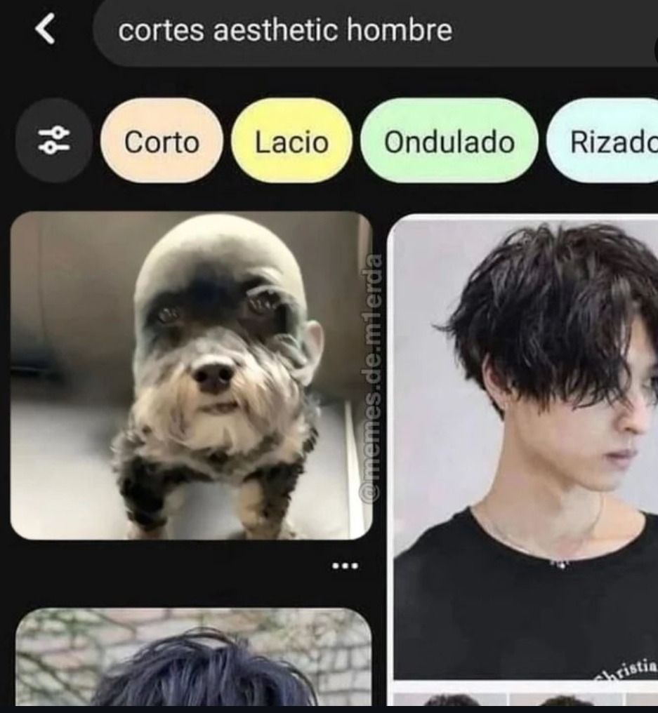 Cortes aesthetic para hombee - meme