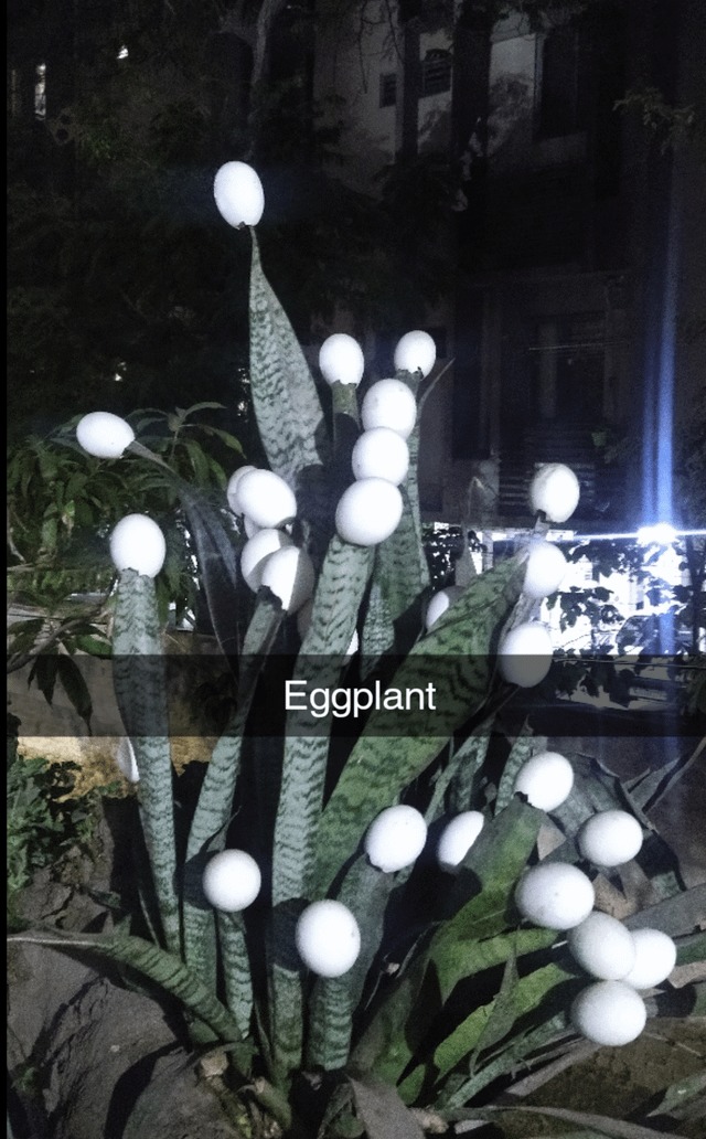 Eggplant - meme