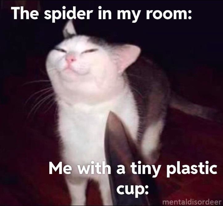 Me vs the spider with 8 legs and zero rent - meme