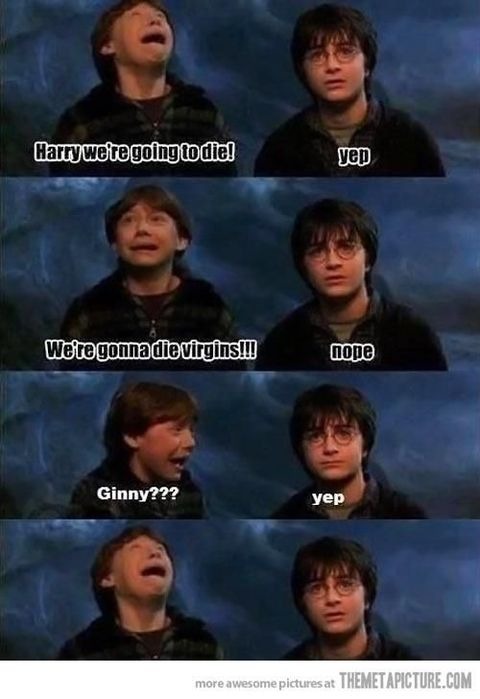 The best Harry Potter Memes memes :) Memedroid