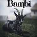 Bambi-nario