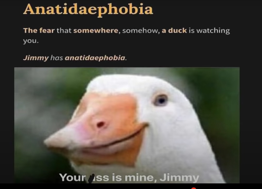 What the duck? - meme