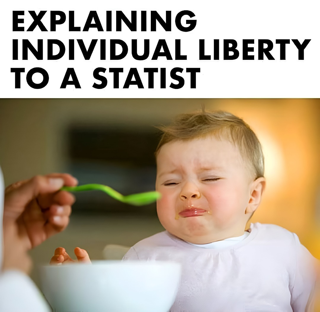 Explaining individual liberty to a statist - meme