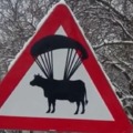 warning: cow dropzone, stand clear.