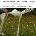 commented item thumbnail