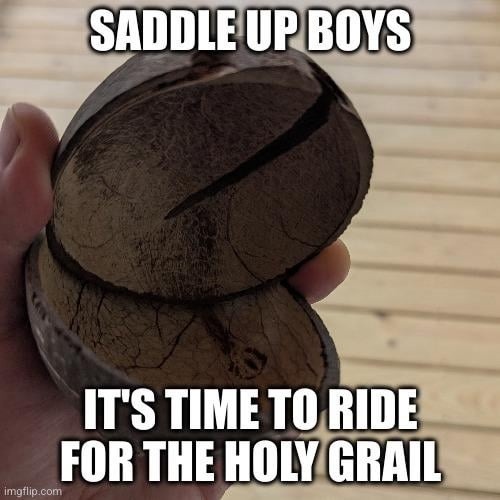 Grab your gear, we ride for the grail - meme