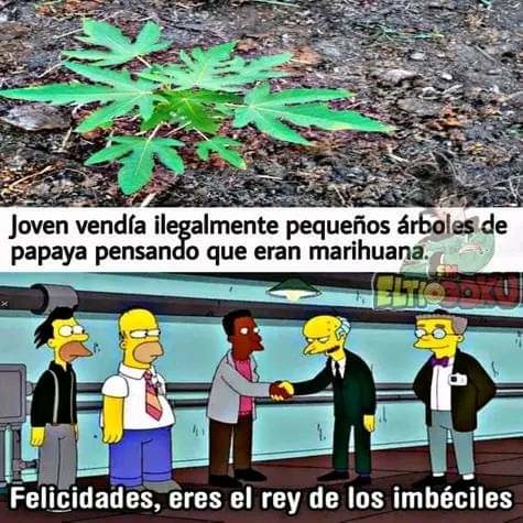 Marihuanas - meme