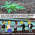 Marihuanas