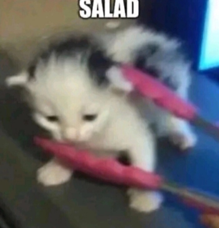 Ensalada de gato - meme
