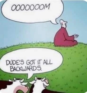 Cow jokes - meme