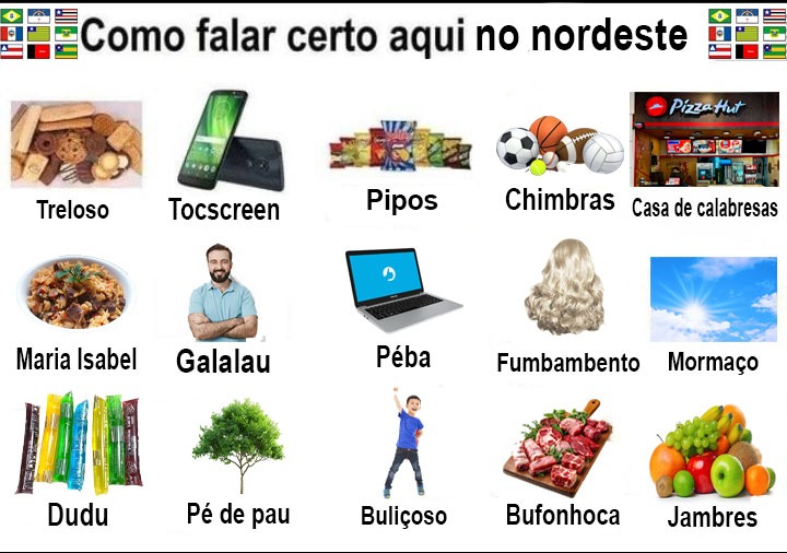 Entenda como falar certo aqui no nordeste - meme