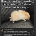 commented item thumbnail